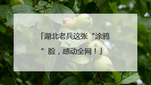 湖北老兵这张“涂鸦”脸，感动全网！