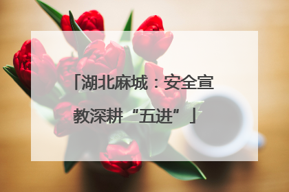 湖北麻城：安全宣教深耕“五进”