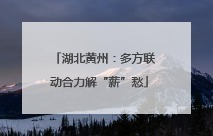 湖北黄州：多方联动合力解“薪”愁
