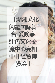 湖湘文化闪耀国际舞台 爱晚亭红色文化交流中心亮相中非经贸博览会