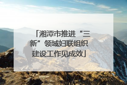 湘潭市推进“三新”领域妇联组织建设工作见成效