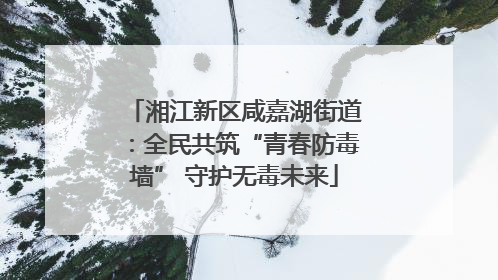 湘江新区咸嘉湖街道：全民共筑“青春防毒墙” 守护无毒未来
