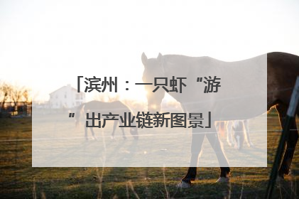 滨州：一只虾“游”出产业链新图景