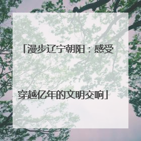 漫步辽宁朝阳：感受穿越亿年的文明交响