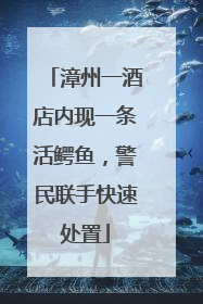 漳州一酒店内现一条活鳄鱼，警民联手快速处置