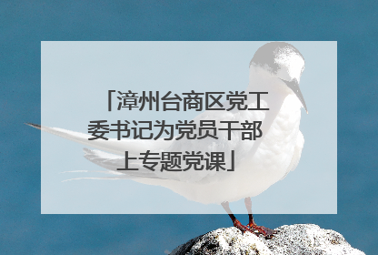 漳州台商区党工委书记为党员干部上专题党课