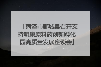 菏泽市鄄城县召开支持明康原料药创新孵化园高质量发展座谈会