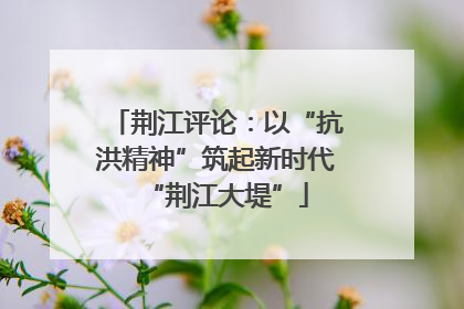 荆江评论：以“抗洪精神”筑起新时代“荆江大堤”