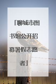 聊城市图书馆公开招募暑假志愿者