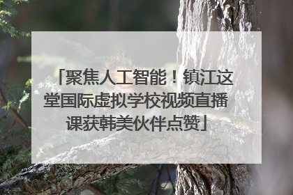 聚焦人工智能！镇江这堂国际虚拟学校视频直播课获韩美伙伴点赞
