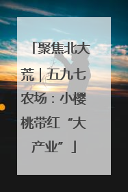 聚焦北大荒｜五九七农场：小樱桃带红“大产业”