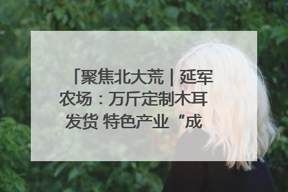 聚焦北大荒｜延军农场：万斤定制木耳发货 特色产业“成绩单”亮眼