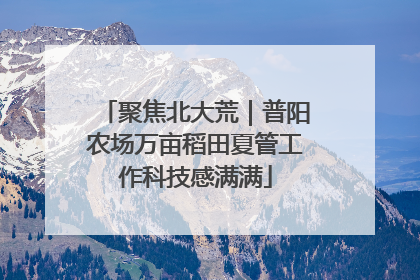聚焦北大荒｜普阳农场万亩稻田夏管工作科技感满满