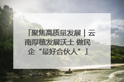 聚焦高质量发展｜云南厚植发展沃土 做民企“最好合伙人”
