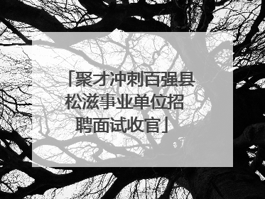 聚才冲刺百强县 松滋事业单位招聘面试收官
