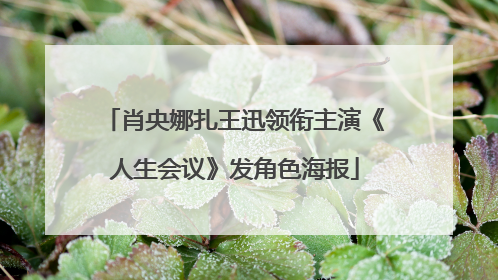 肖央娜扎王迅领衔主演《人生会议》发角色海报