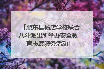 肥东县杨店学校联合八斗派出所举办安全教育志愿服务活动