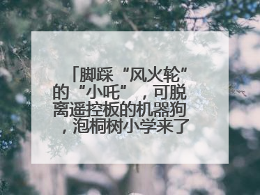 脚踩“风火轮”的“小吒”，可脱离遥控板的机器狗，泡桐树小学来了新朋友！