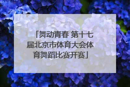 舞动青春 第十七届北京市体育大会体育舞蹈比赛开赛