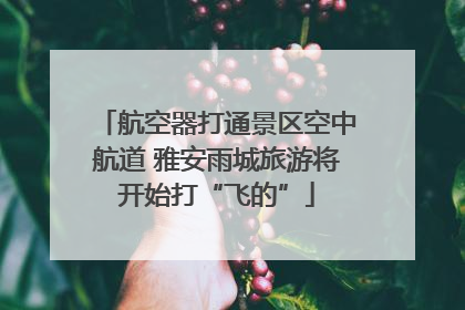 航空器打通景区空中航道 雅安雨城旅游将开始打“飞的”