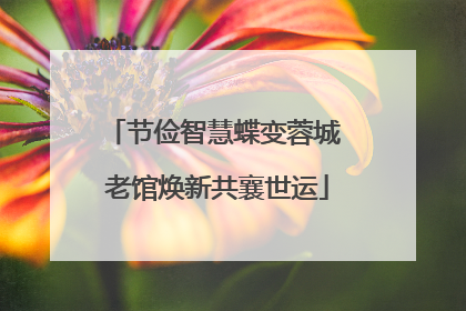 节俭智慧蝶变蓉城 老馆焕新共襄世运