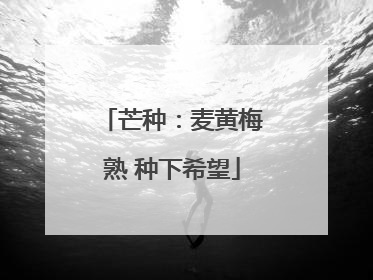 芒种：麦黄梅熟 种下希望