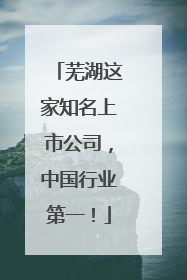芜湖这家知名上市公司，中国行业第一！