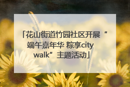 花山街道竹园社区开展“端午嘉年华 粽享city walk”主题活动