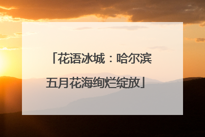 花语冰城：哈尔滨五月花海绚烂绽放