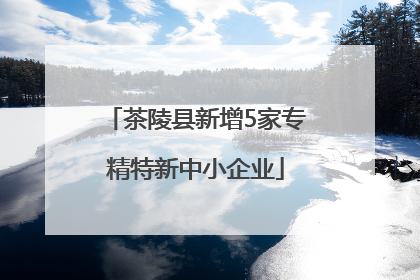 茶陵县新增5家专精特新中小企业