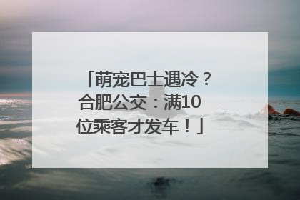 萌宠巴士遇冷？合肥公交：满10位乘客才发车！