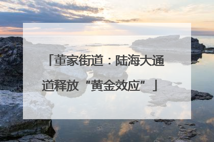 董家街道：陆海大通道释放“黄金效应”