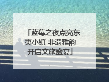 蓝莓之夜点亮东夷小镇 非遗雅韵开启文旅盛宴