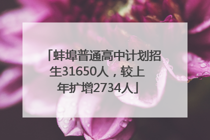 蚌埠普通高中计划招生31650人，较上年扩增2734人