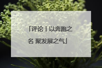 评论丨以奔跑之名 聚发展之气