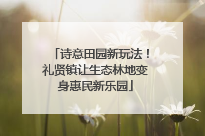 诗意田园新玩法！礼贤镇让生态林地变身惠民新乐园