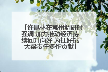 许昆林在常州调研时强调 加力推动经济持续回升向好 为扛好挑大梁责任多作贡献
