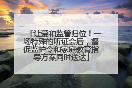 让爱和监管归位！一场特殊的听证会后，督促监护令和家庭教育指导方案同时送达
