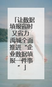 让数据填报省时又省力 禹城全面推进“企业数据填报一件事”
