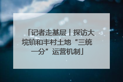 记者走基层丨探访大垸镇和丰村土地“三统一分”运营机制