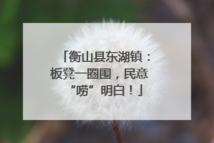 衡山县东湖镇：板凳一圈围，民意“唠”明白！