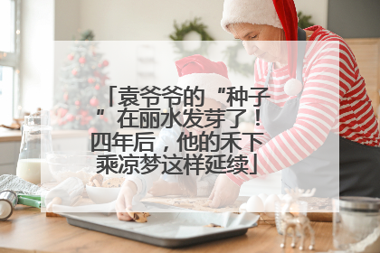 袁爷爷的“种子”在丽水发芽了！四年后，他的禾下乘凉梦这样延续