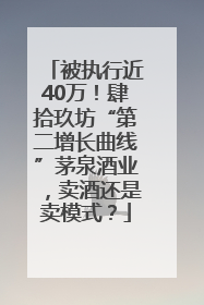 被执行近40万！肆拾玖坊“第二增长曲线”茅泉酒业，卖酒还是卖模式？