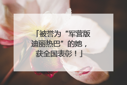 被誉为“军营版迪丽热巴”的她，获全国表彰！