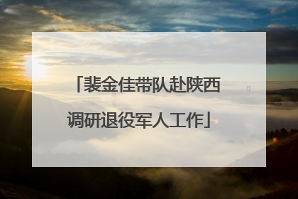 裴金佳带队赴陕西调研退役军人工作