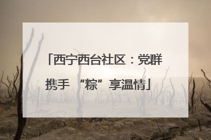 西宁西台社区：党群携手 “粽”享温情