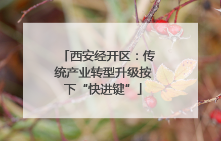 西安经开区：传统产业转型升级按下“快进键”