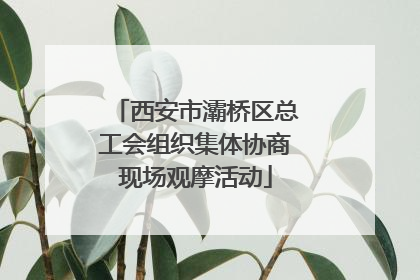 西安市灞桥区总工会组织集体协商现场观摩活动