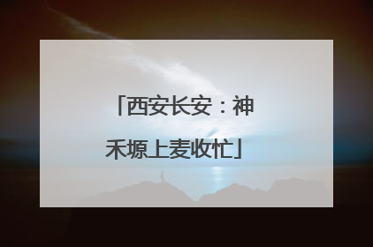 西安长安：神禾塬上麦收忙