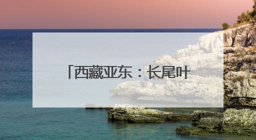 西藏亚东：长尾叶猴下山“会客”